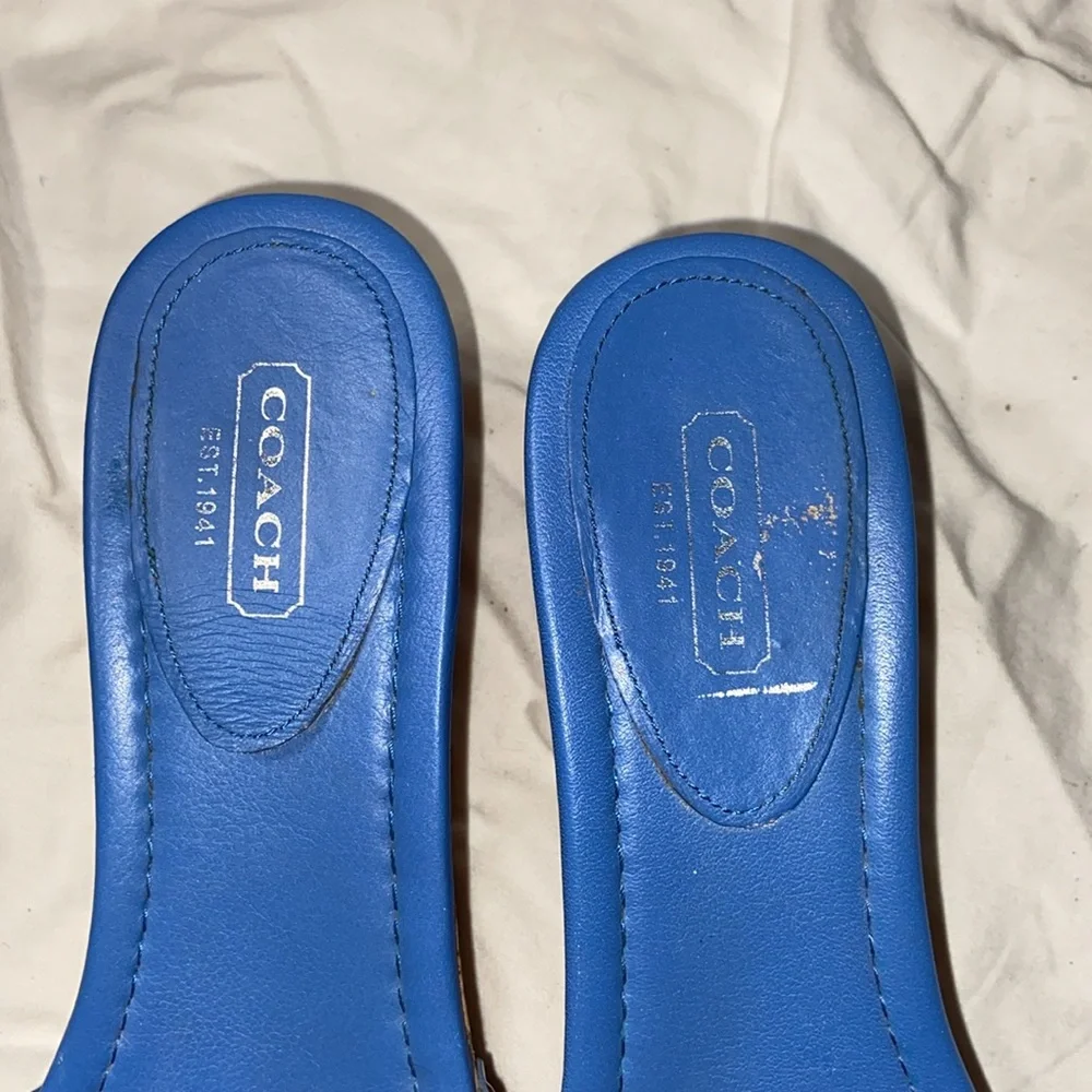 Coach rare blue
